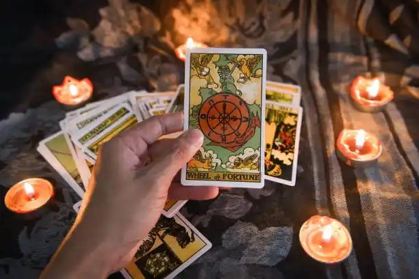 tarot cards Steele